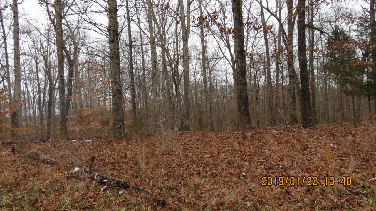 0 Audubon Trl - Photo 1