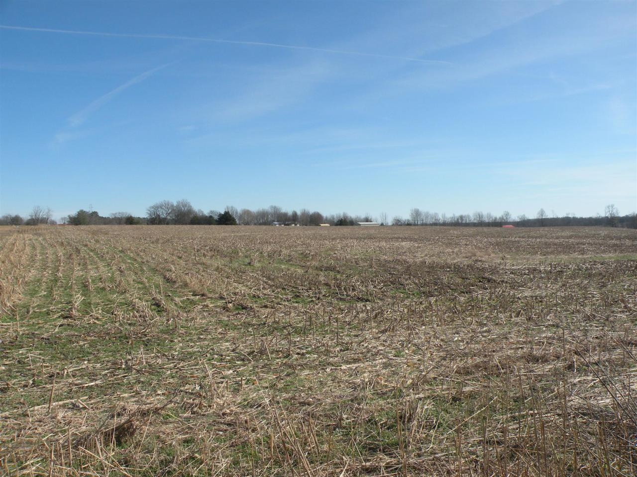 325 Fowler Ford Rd. - Photo 1