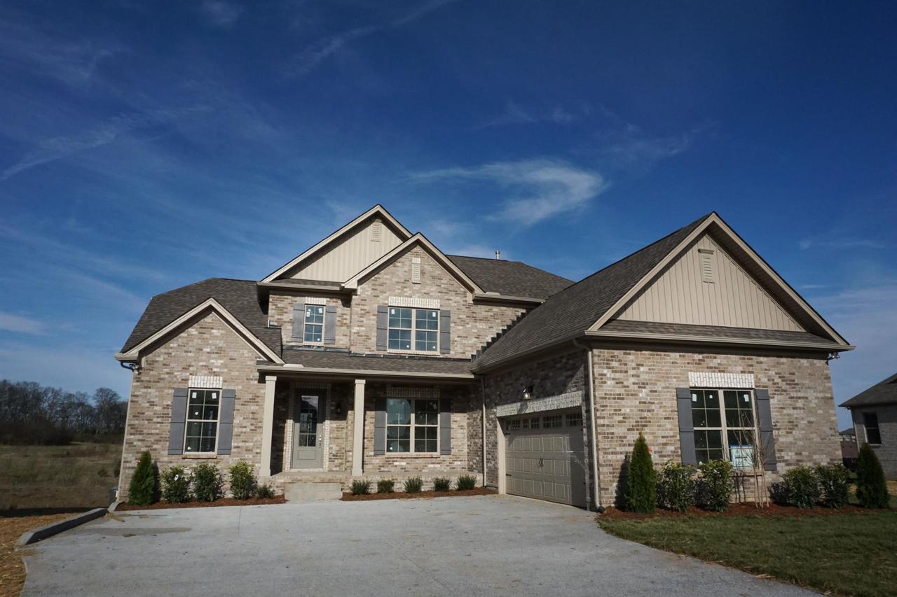 1016 Appaloosa Way Lot 7 - Photo 1