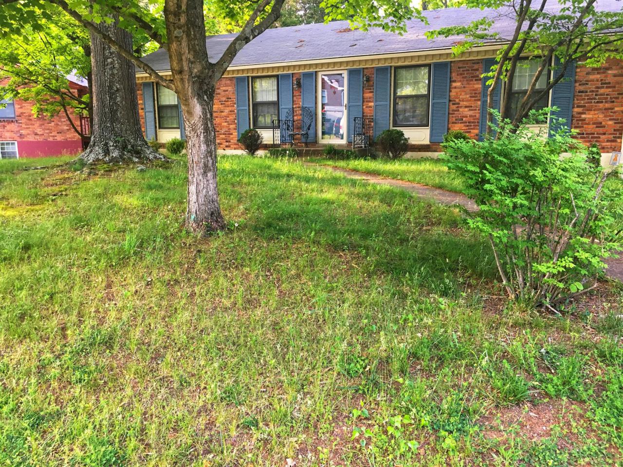 332 Lynn Dr - Photo 1