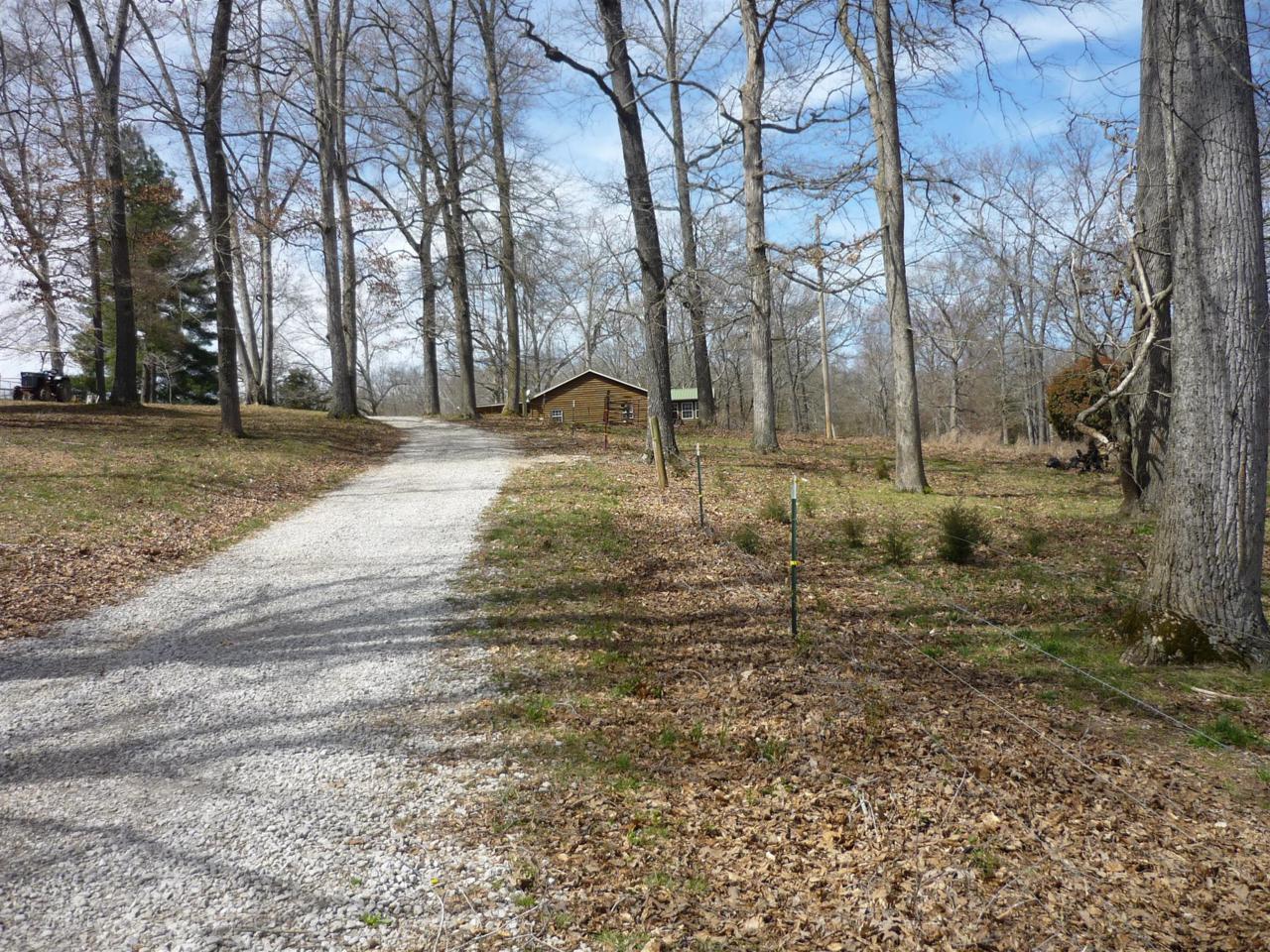 184 Phillips Ln - Photo 1
