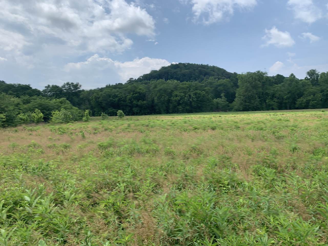 1345 Narrows Of The Harpeth Rd. - Photo 1