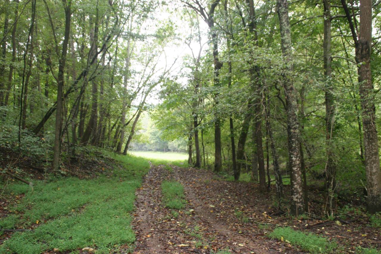2201 Lock B Rd N - Photo 1