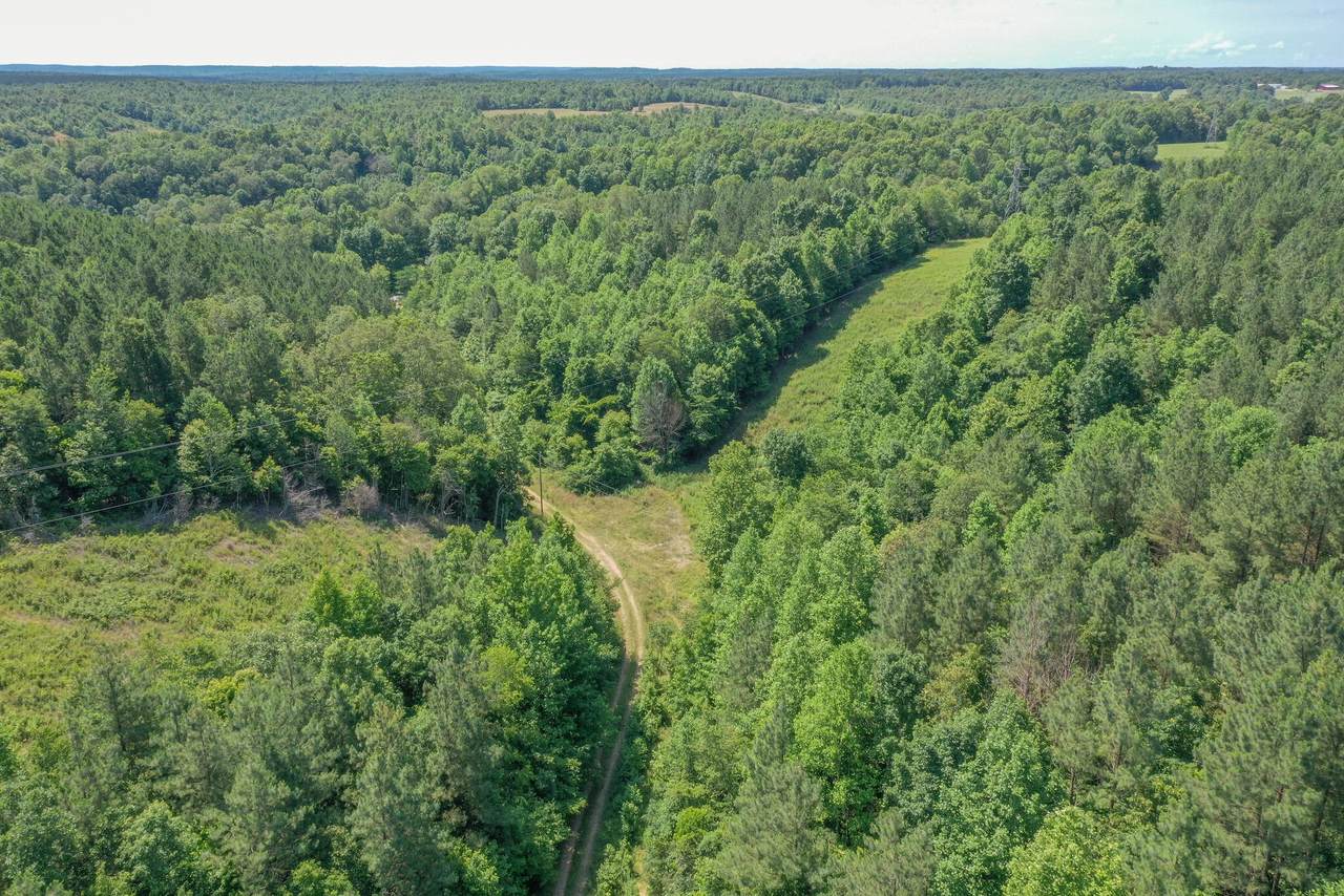 1464 Highway 100 - Photo 1