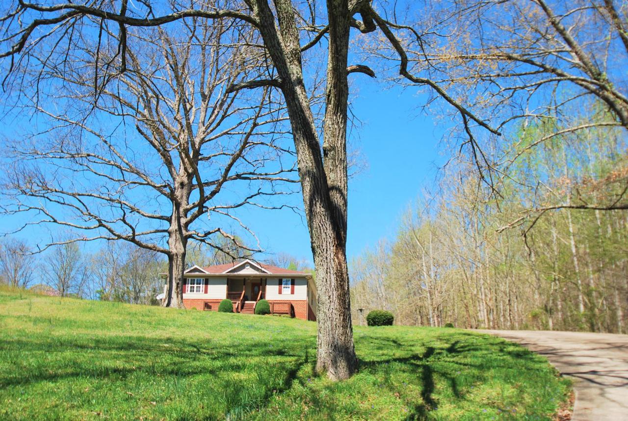 1134 Pee Dee Branch Rd - Photo 1