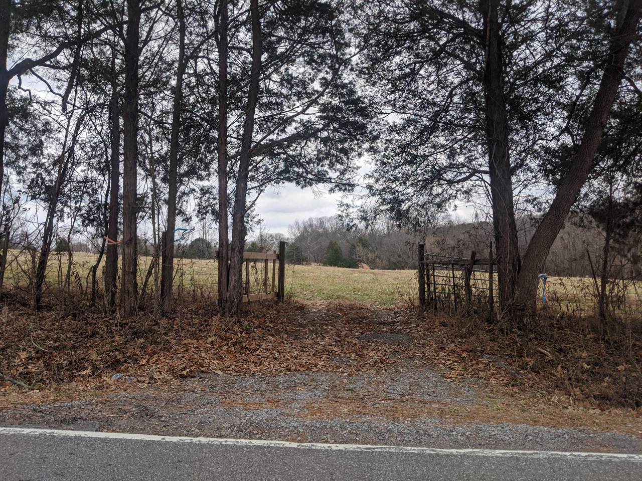 811 Hickory Point Rd - Photo 1