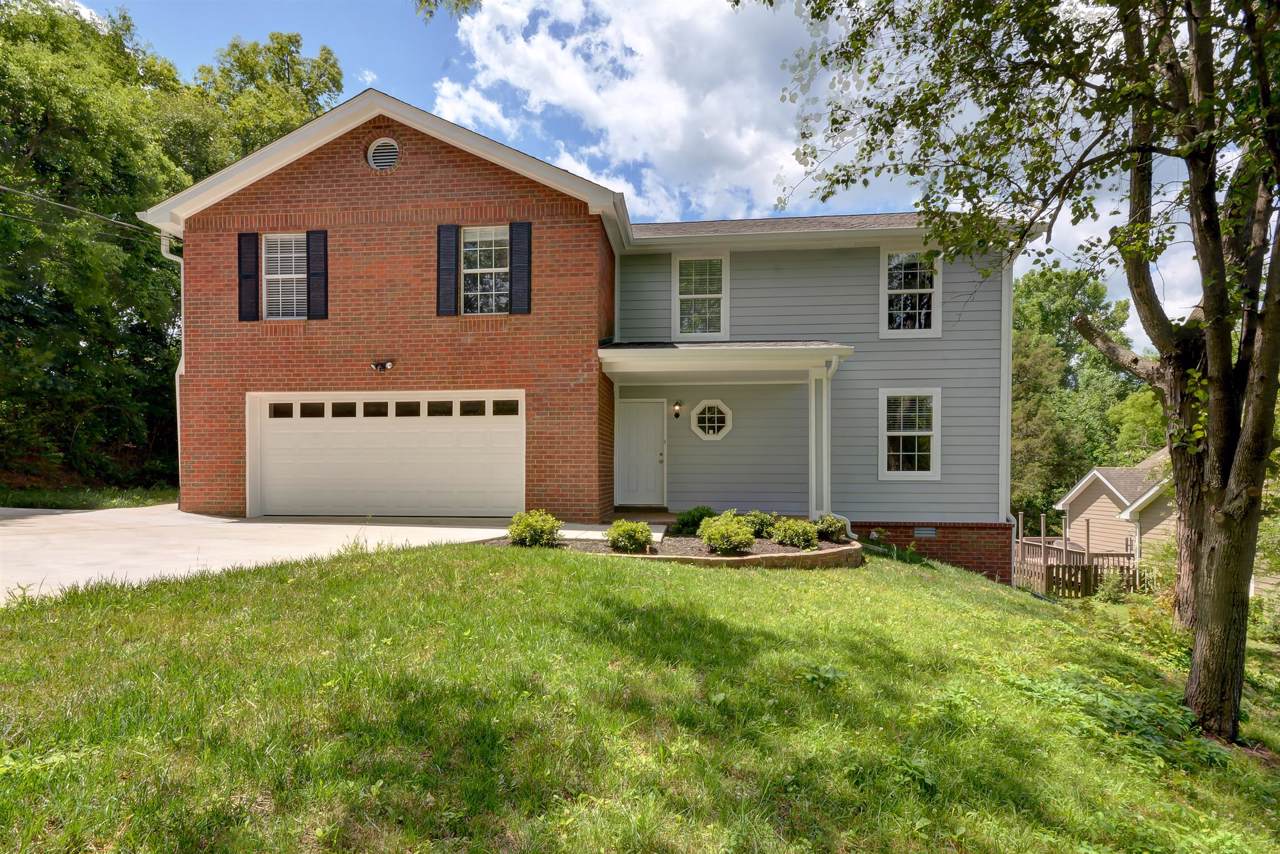 203 Bellevue Rd - Photo 1