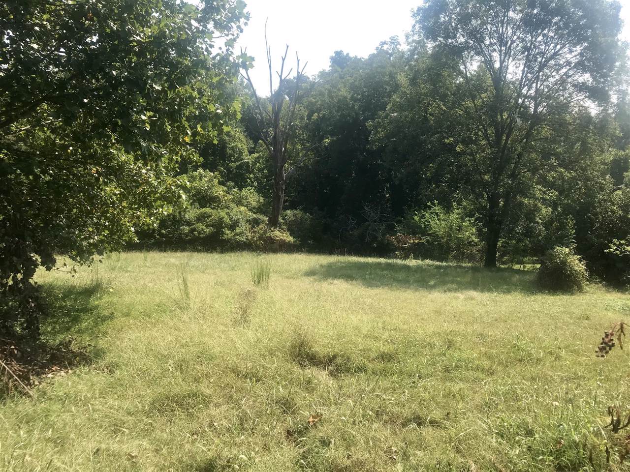 1005B Mitchell Rd - Photo 1