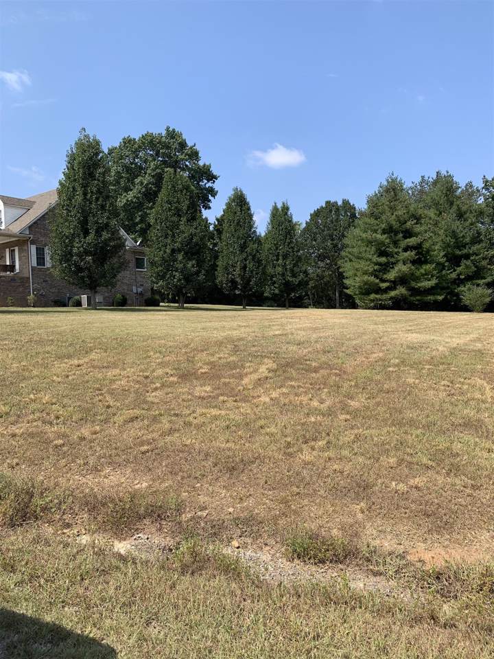102 Handschug Ln - Photo 1