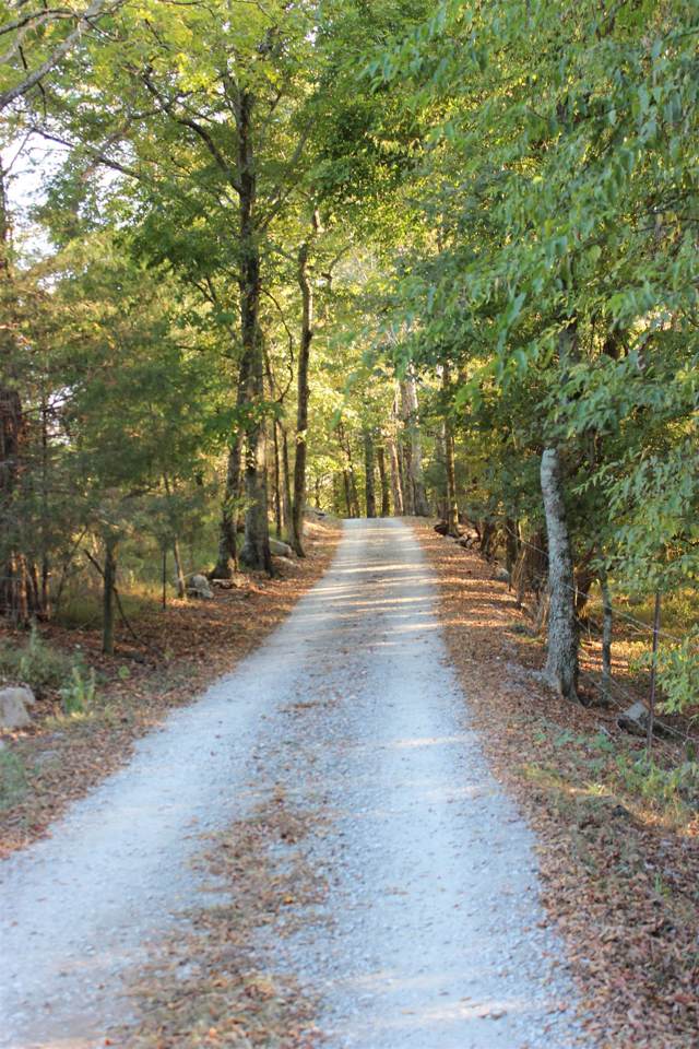 1198 Daniel Rd - Photo 1