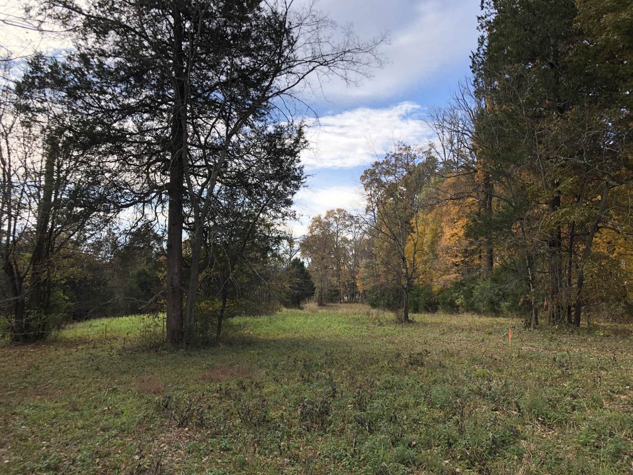 38 Battle Rd - Photo 1