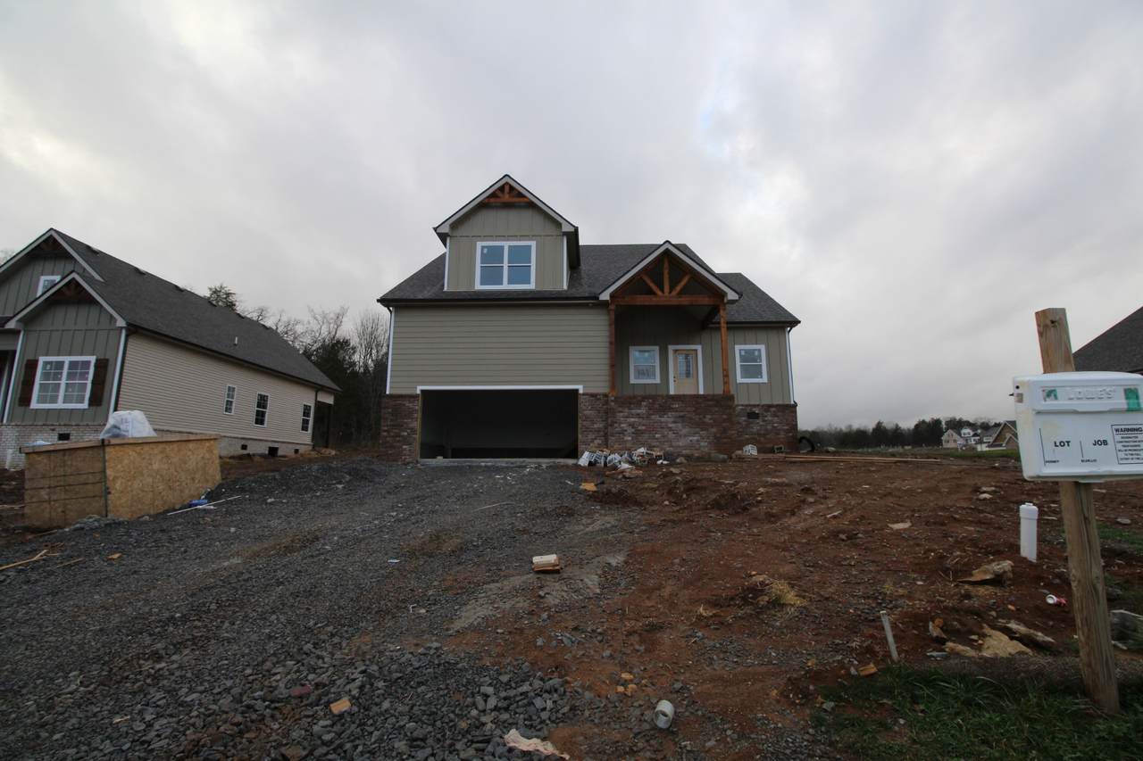 131 Macaw Ln - Photo 1