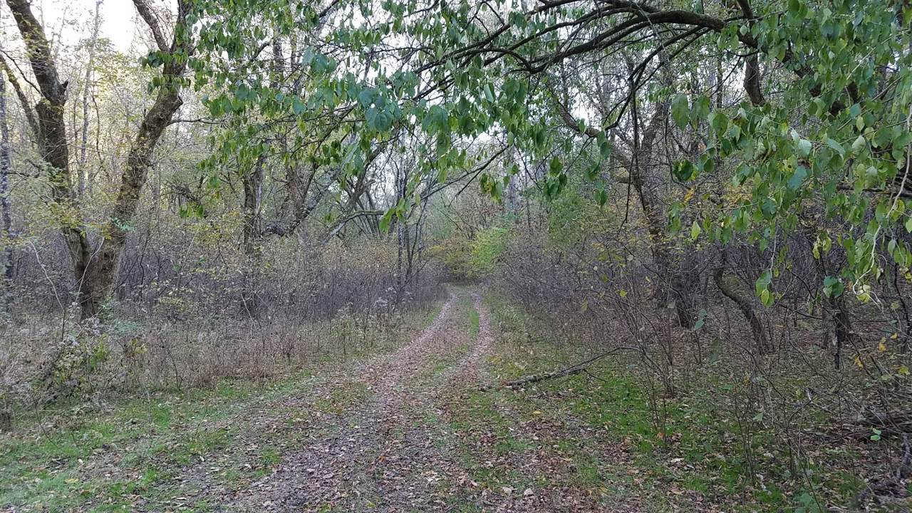 0 Williams Rd - Photo 1