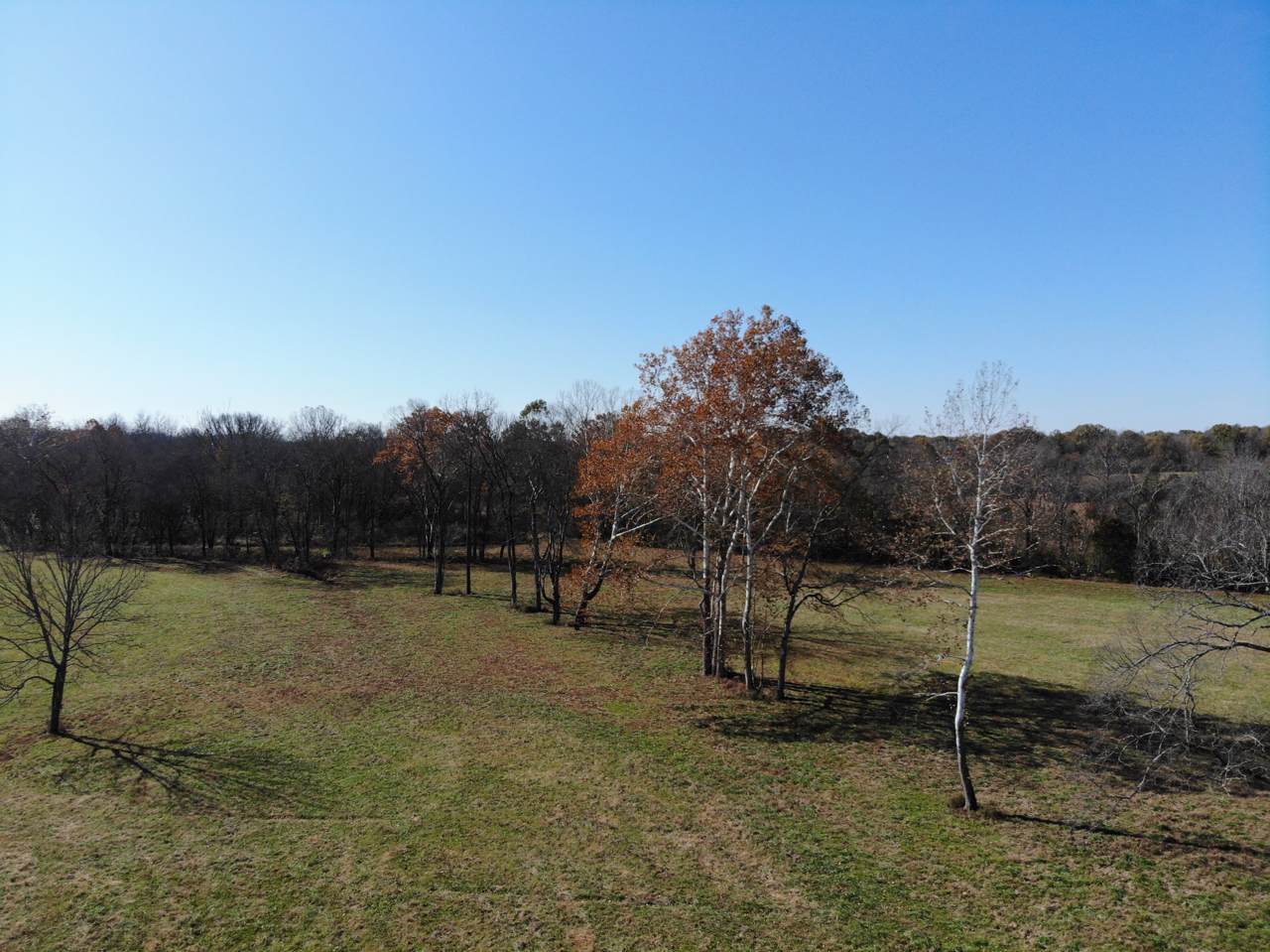 2061 Wilson Pike - Photo 1