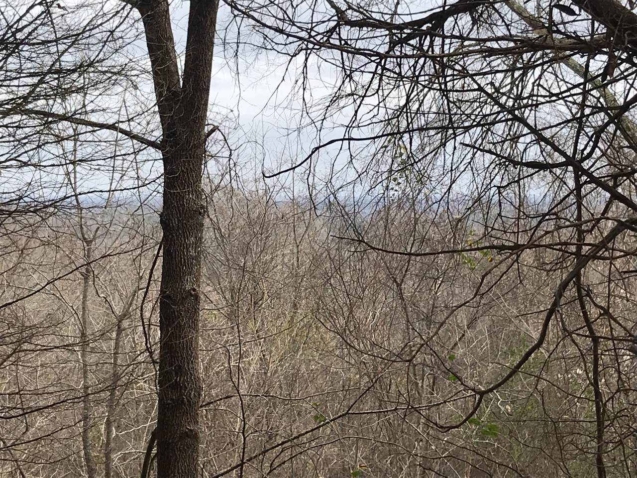0 Cranford Hollow Rd - Photo 1