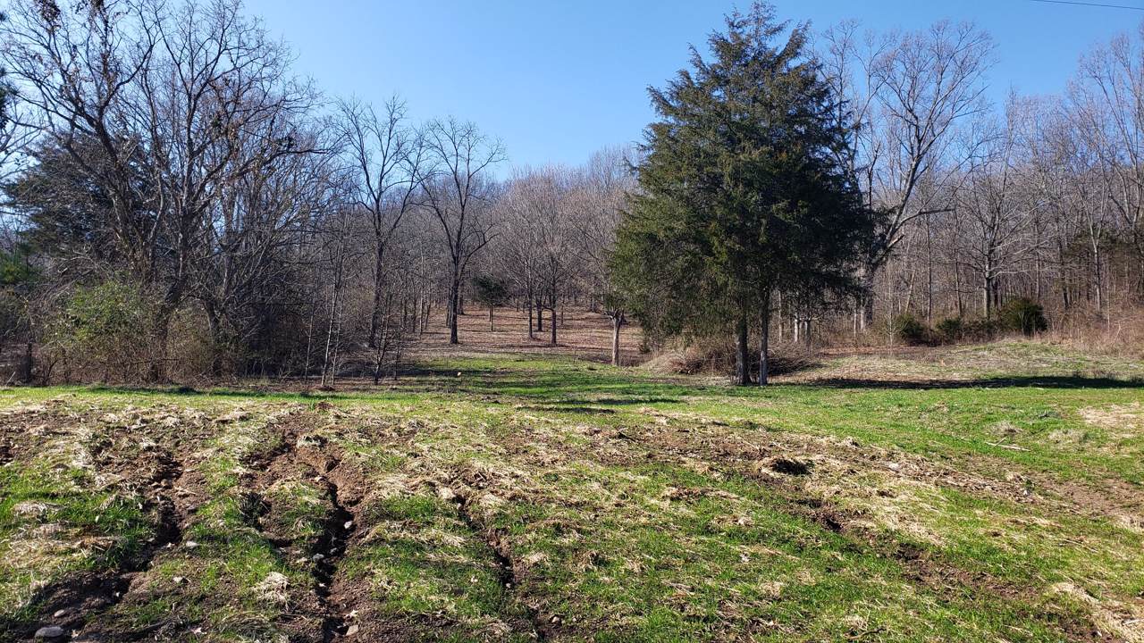 0 Lula Ln - Photo 1