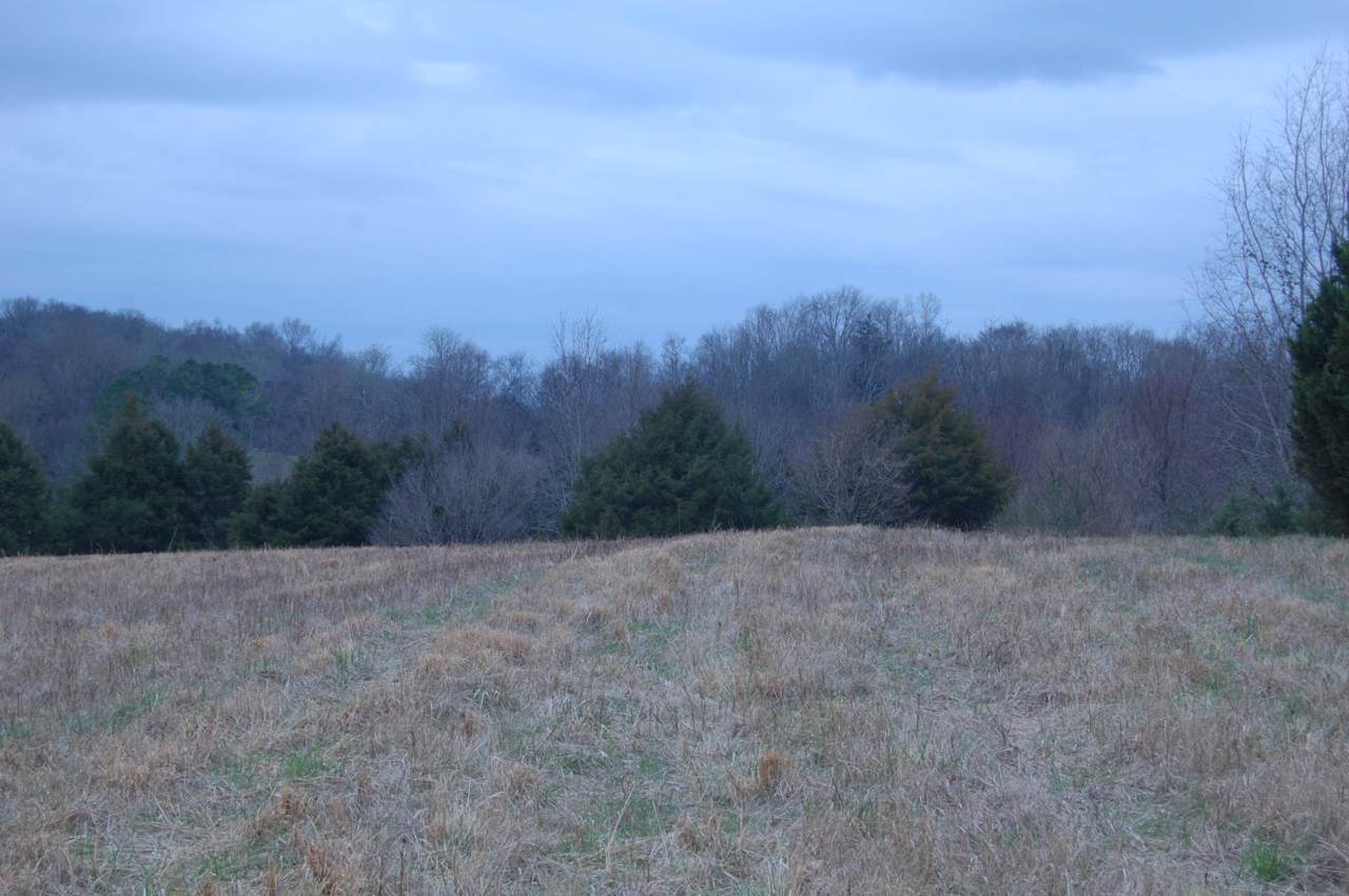 175 Rambling Ridge - Photo 1