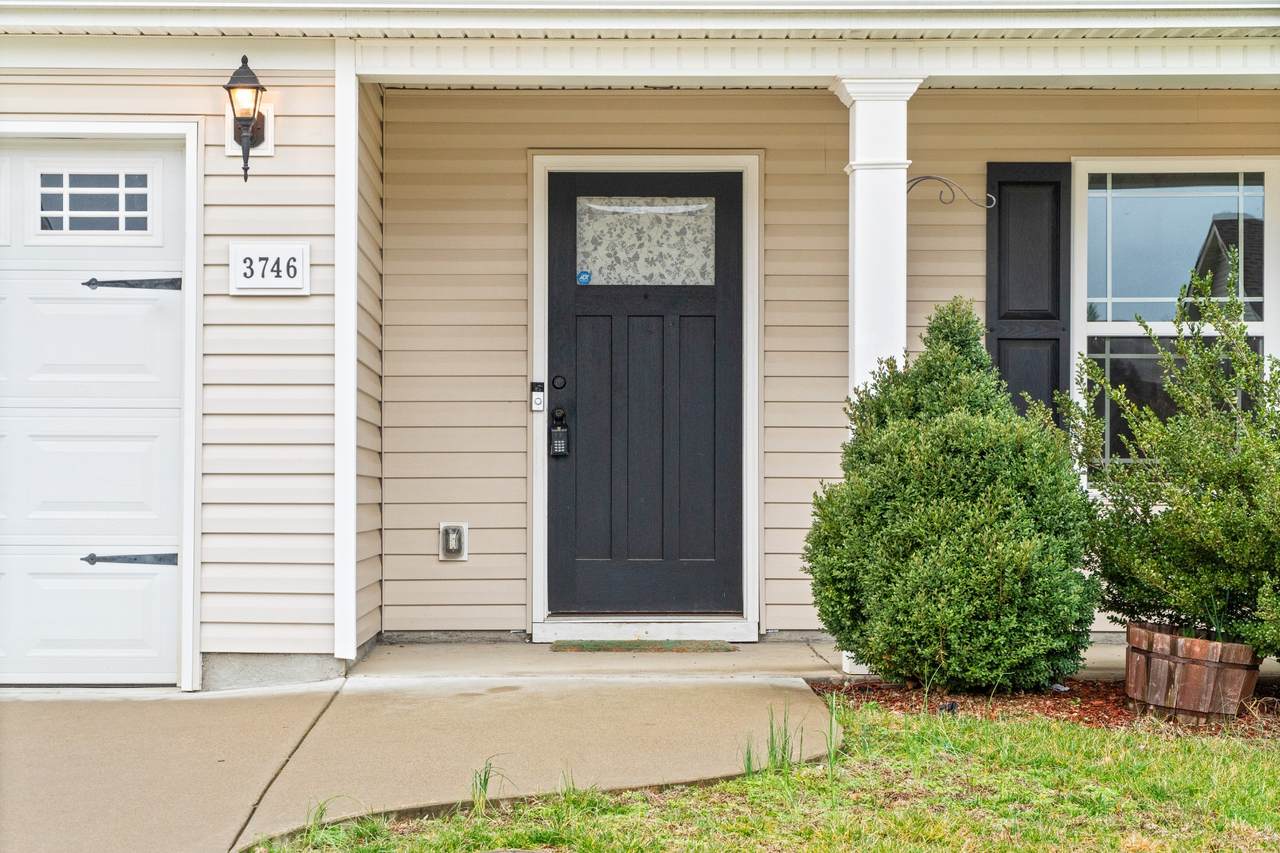 3746 Gray Fox Dr - Photo 1