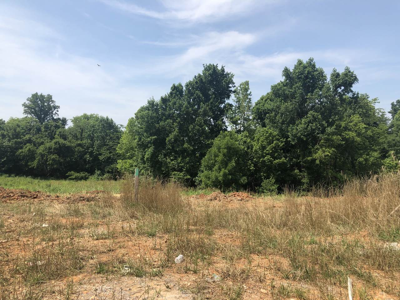 76 Dunbar - Photo 1