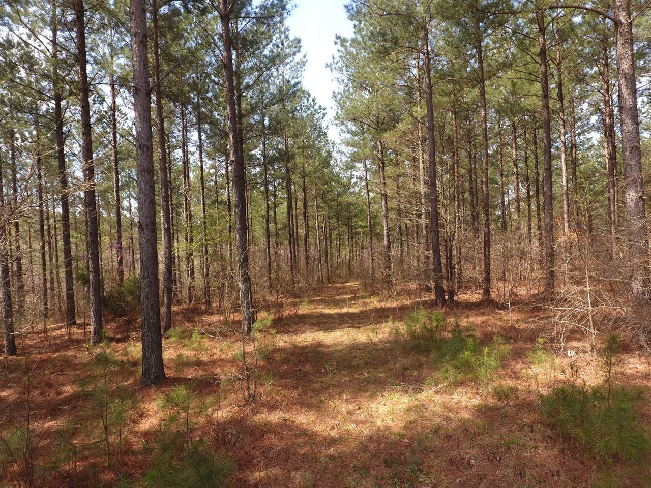 0 Mathis Cemetery Rd - Photo 1