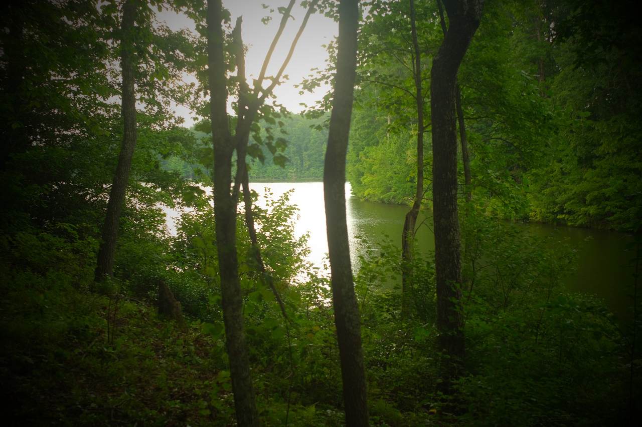 177 Lake Louisa Loop - Photo 1