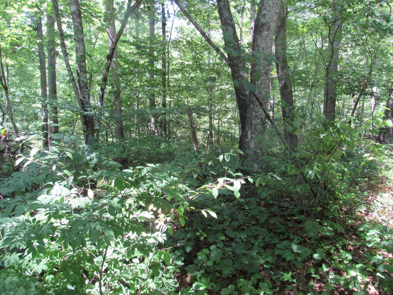 0 E Louis Ave - Photo 1
