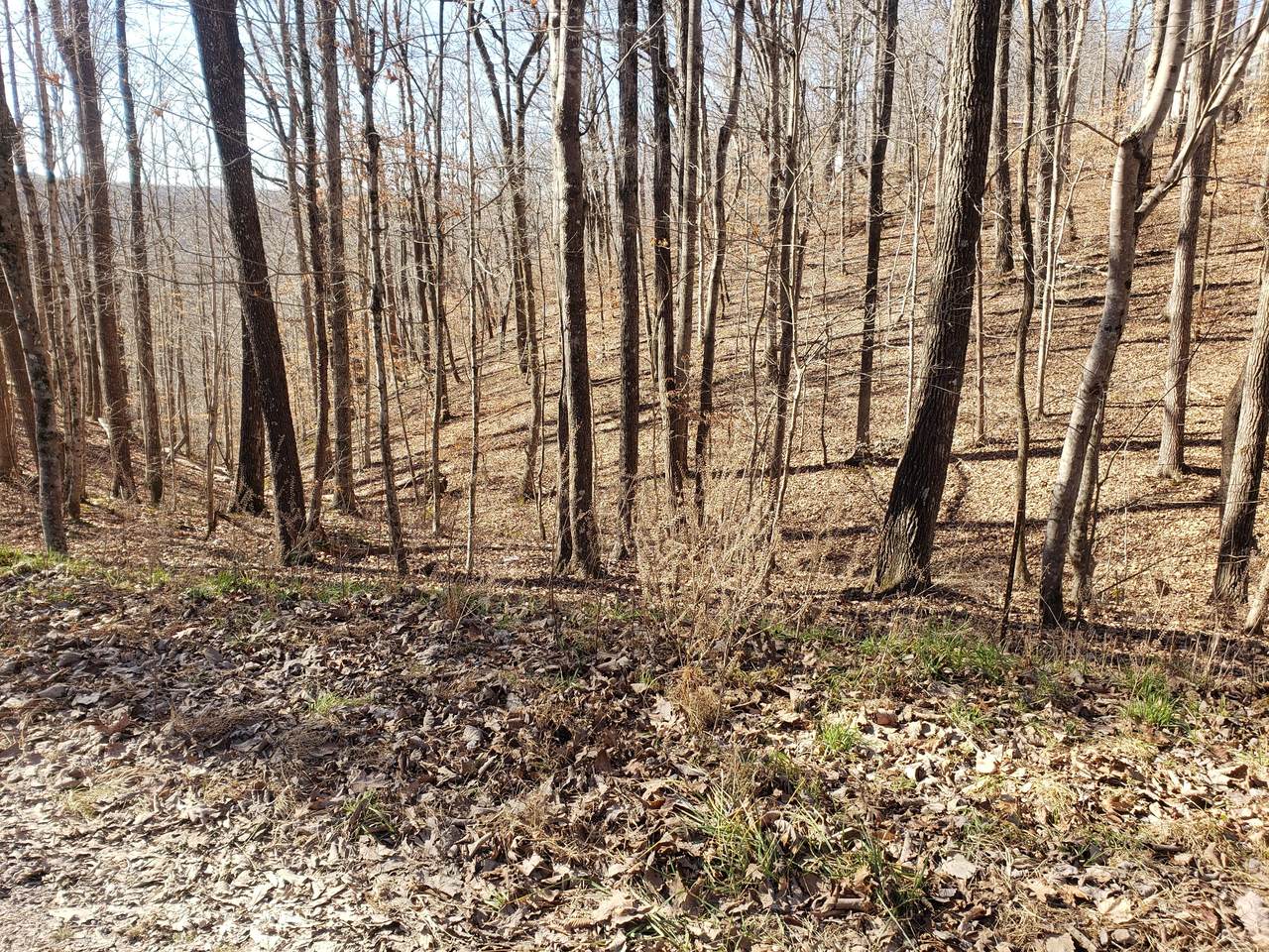 0 Neil Dr - Photo 1