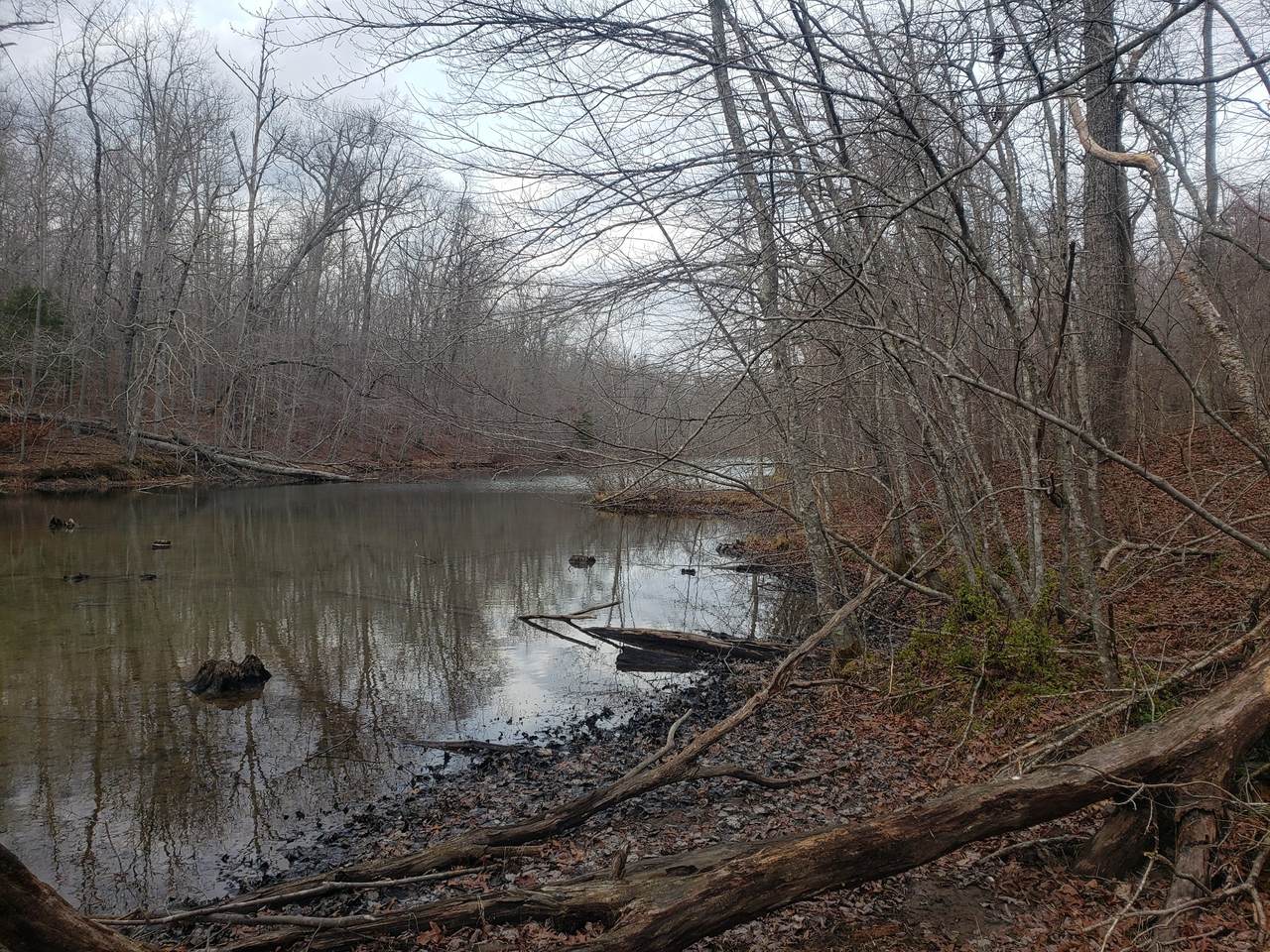 0 Cumberland View Drive - Photo 1