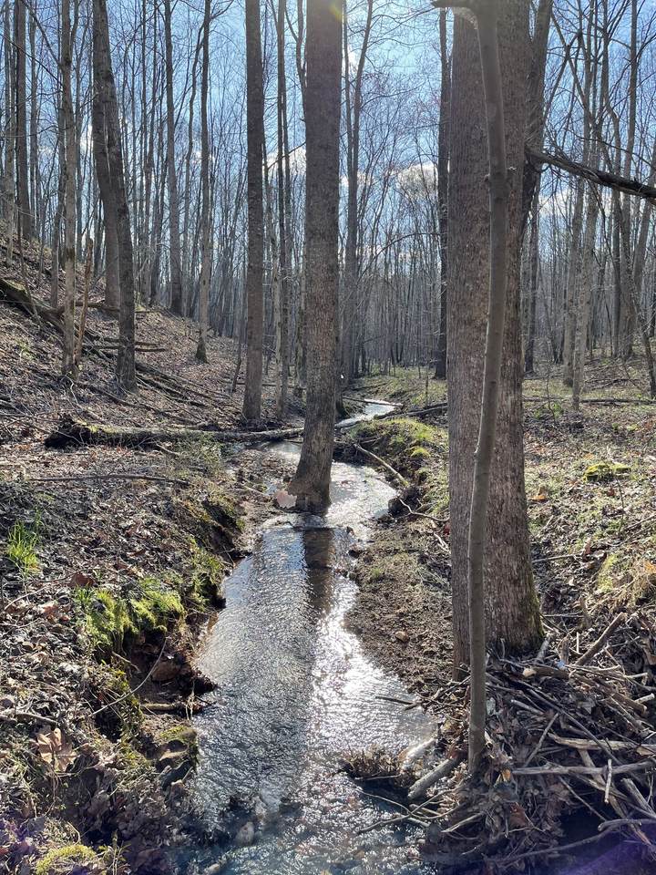 0 Oak Springs Rd - Photo 1