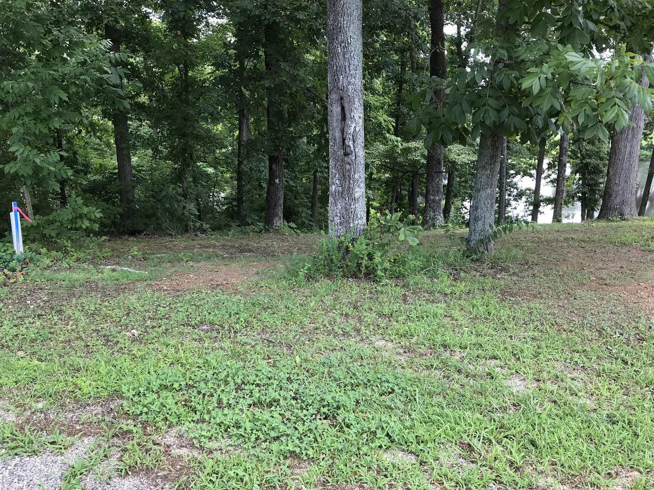 0 Pleasant Garden Rd - Photo 1
