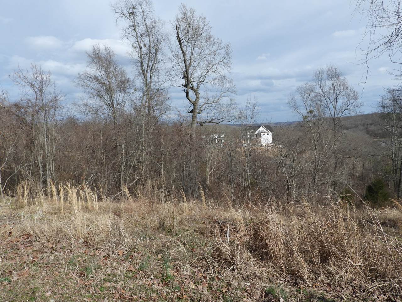 36 River Trace - Photo 1