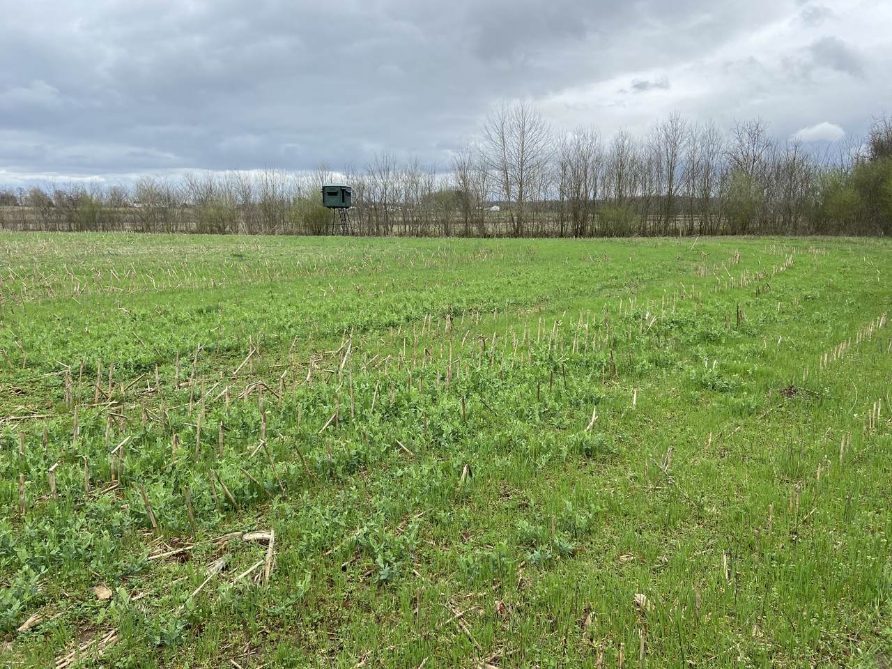 0 Gant Rd - Photo 1