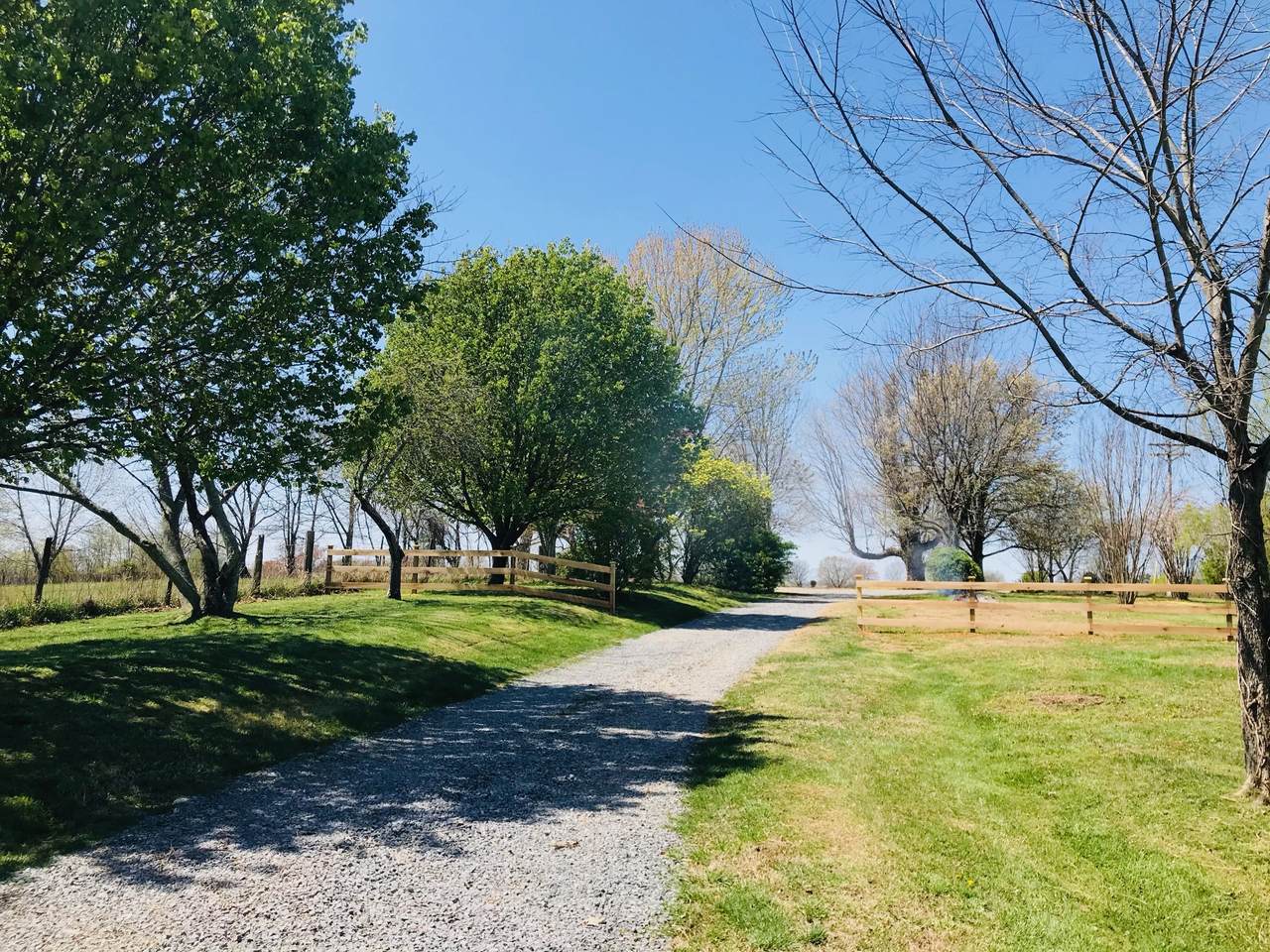 580 Womack Rd - Photo 1