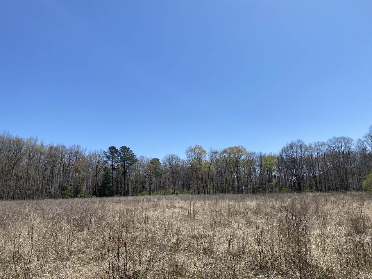 0 Linden Hwy - Photo 1