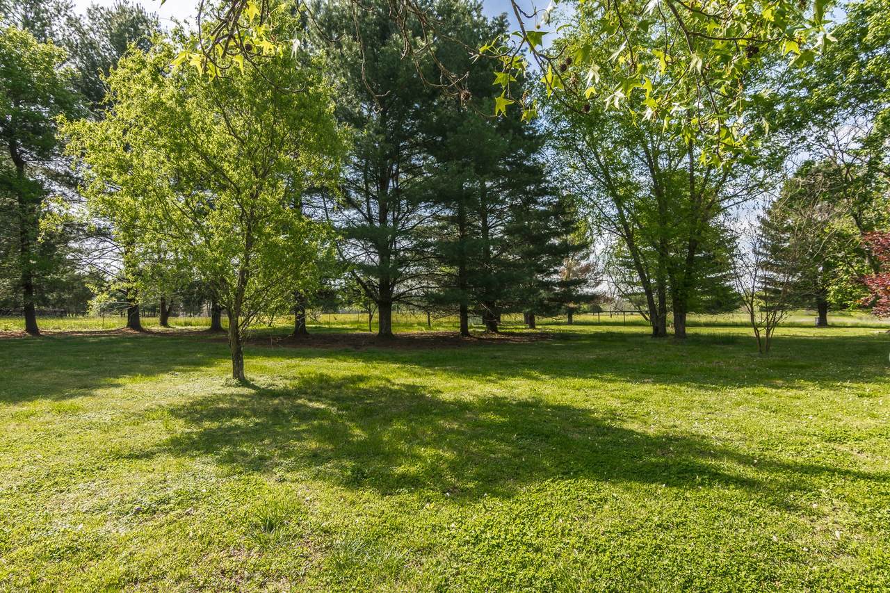 660 Newton Ln - Photo 1