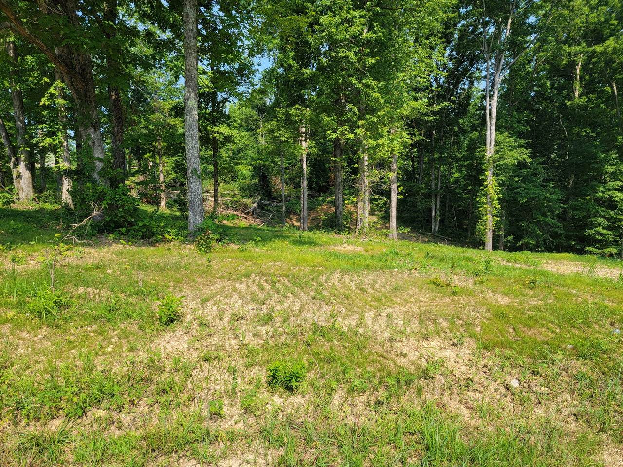 46 Wiggs Branch Rd - Photo 1