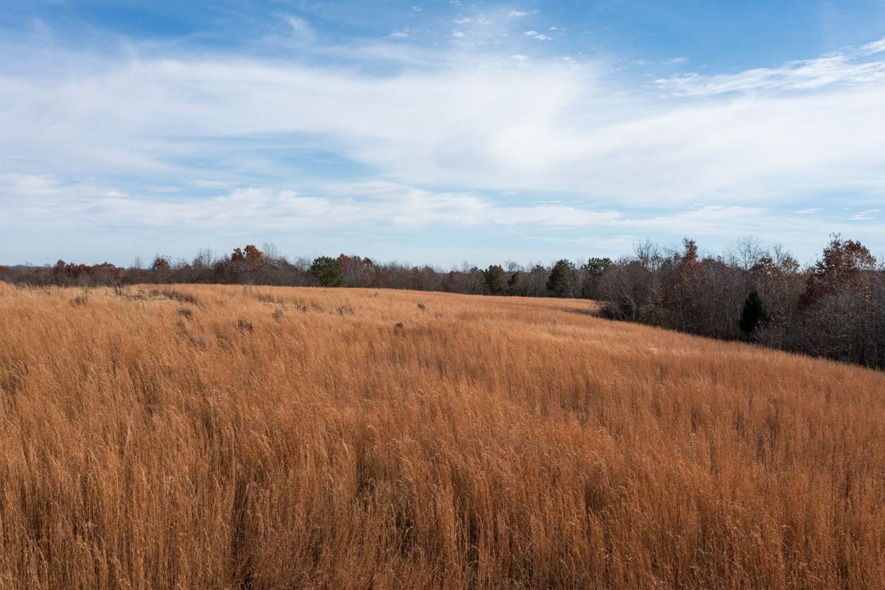 1600 Barren Hollow Rd - Photo 1