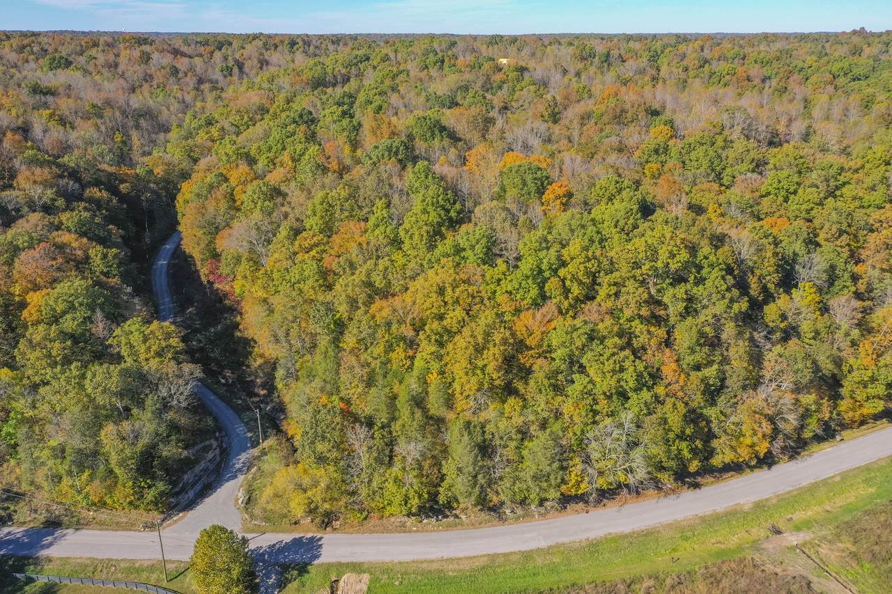 0 S Harpeth/Songbird Spr. - Photo 1