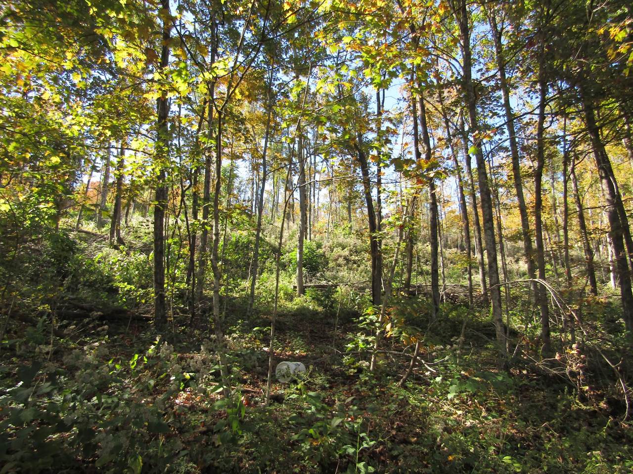 18 .10 Ac Walker Ln - Photo 1