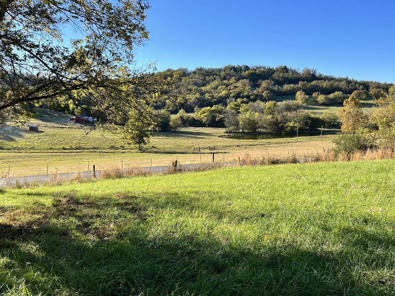 0 Cortner Hollow Road - Photo 1