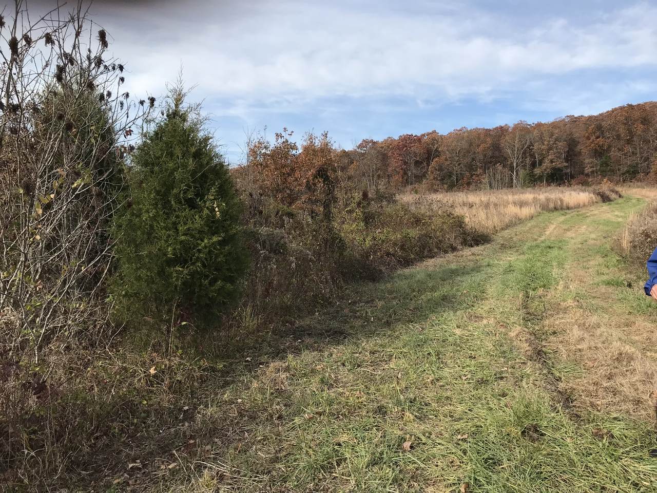 15405 Herring Mill Rd - Photo 1