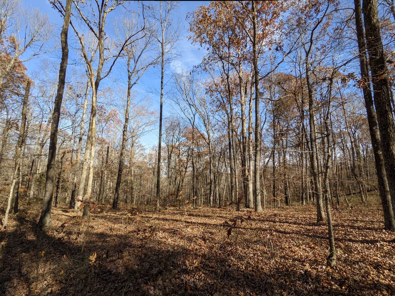 407 Half Pone Rd - Photo 1