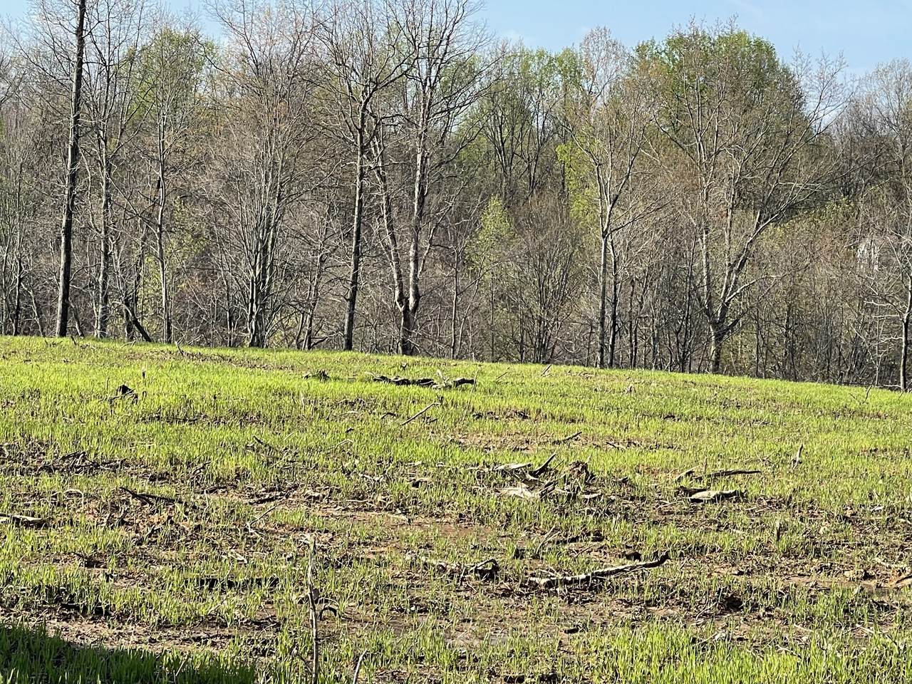 0 Oak Grove Rd - Photo 1