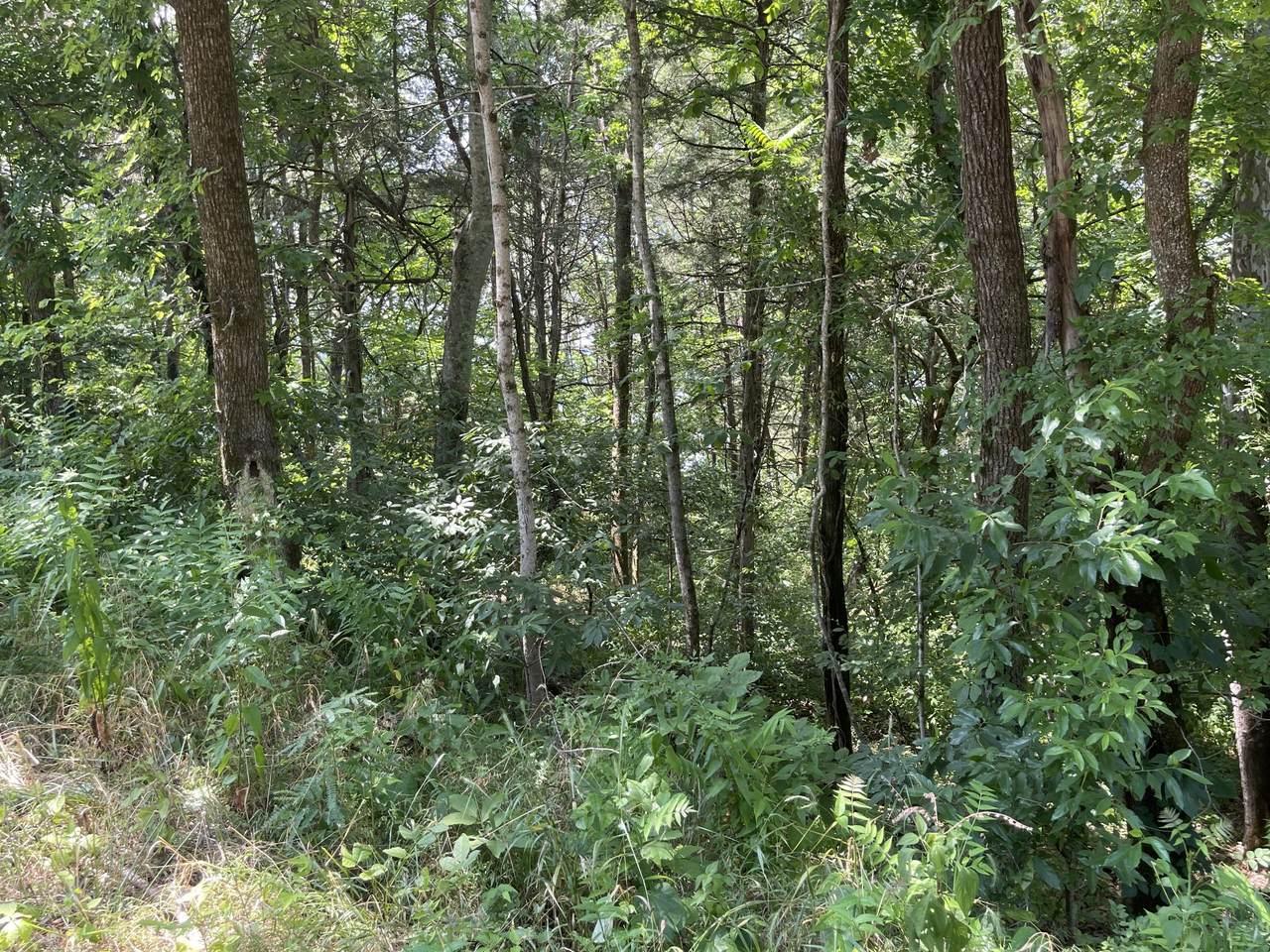 0 Sullivan Bnd Rd - Photo 1