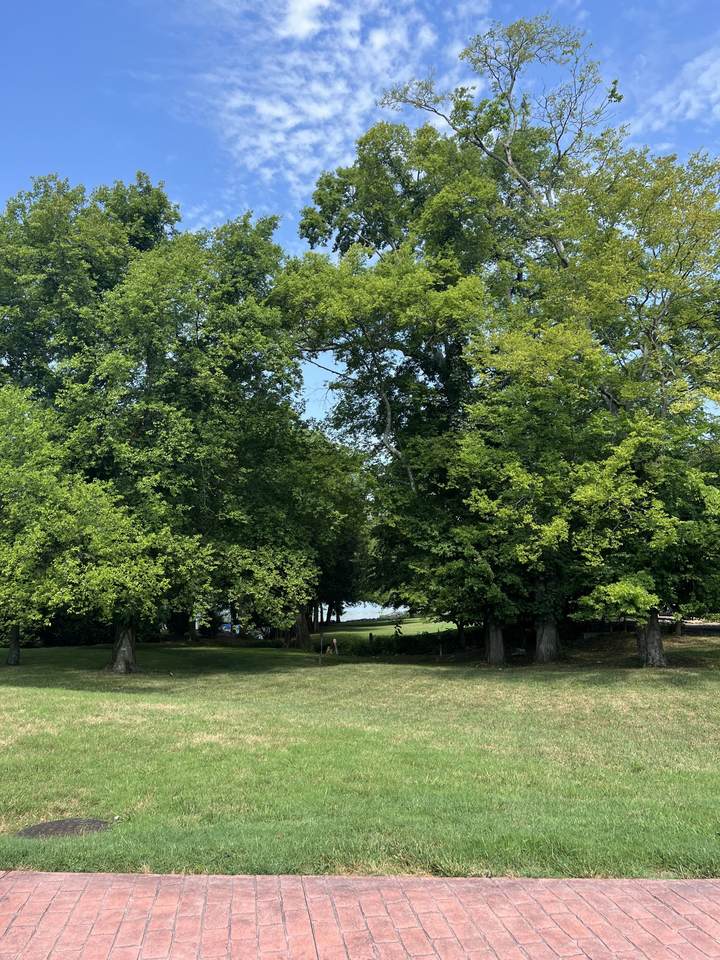 843 Plantation Blvd - Photo 1