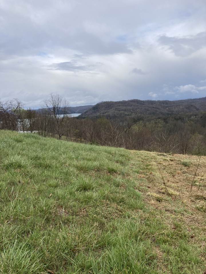 0 Turtle Rd - Photo 1