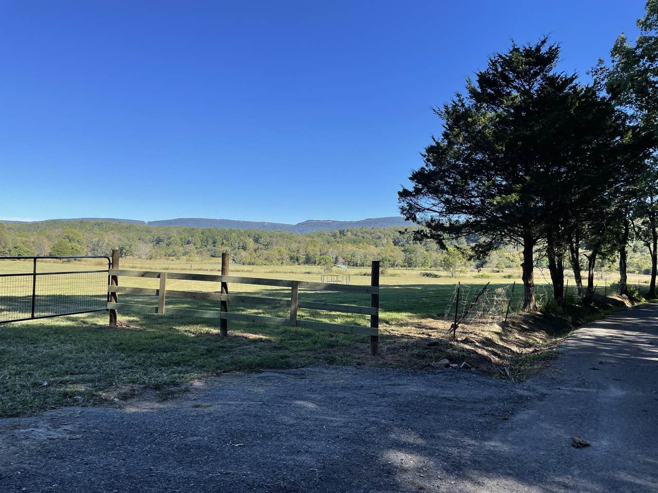 0 Cline Rd - Photo 1