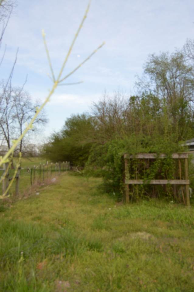 731 Westside Dr - Photo 1