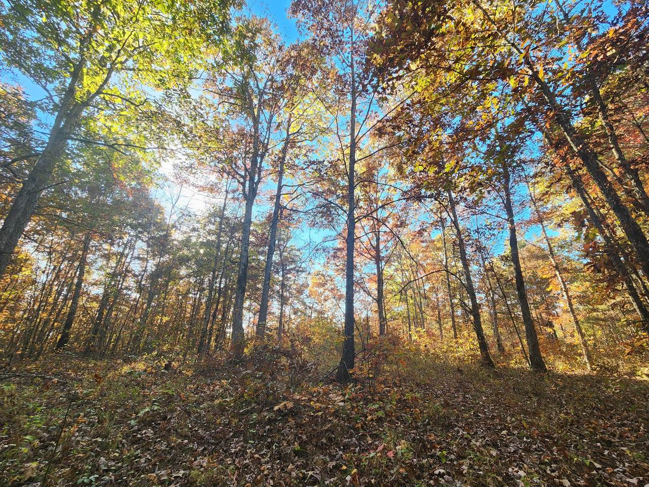 85 5th Drive - Photo 1