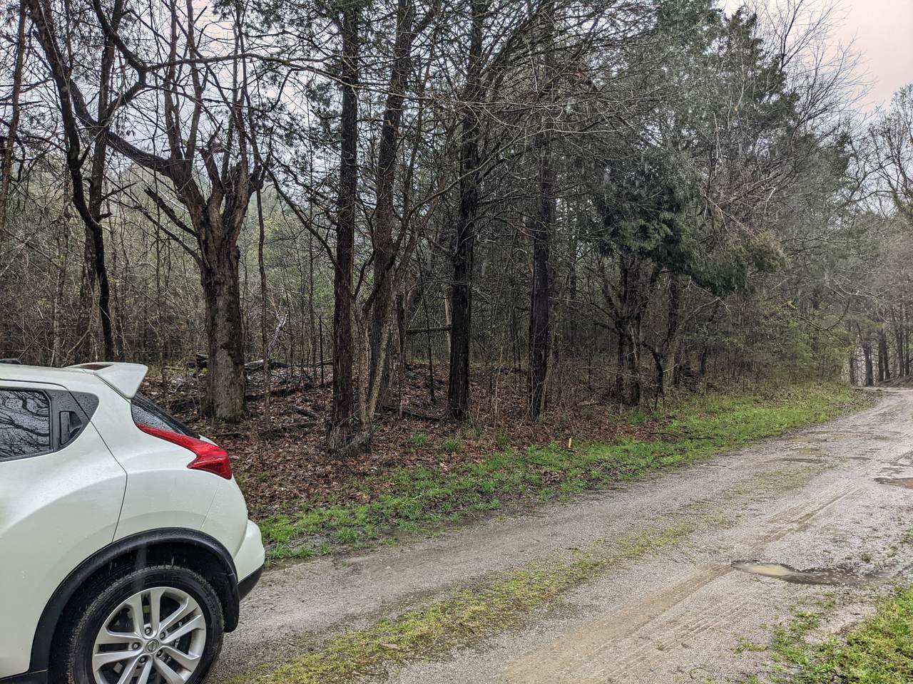 38 Old Road Ln (All 3 Tracts) - Photo 1